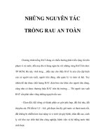 NHỮNG NGUYÊN TÁC TRỒNG RAU AN TOÀN pps