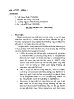 môn hóa vô cơ - đề tài nhôm oxit và ứng dụng