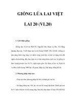 GIỐNG LÚA LAI VIỆT LAI 20 (VL20) ppsx