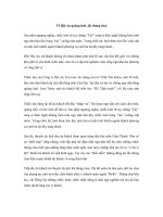 Về Hội An quăng lưới, lắc thúng chai doc