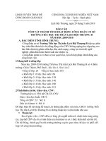 mau bao cao cong doan