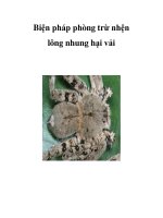 Biện pháp phòng trừ nhện lông nhung hại vải ppt