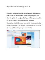 Một số điểm mới về trình duyệt Opera 11 potx