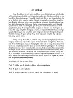 Những vấn đề lý luận cơ bản về rủi ro trong đầu tư pot