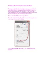 Tìm kiếm các file lưu mật khẩu trong của Google Chrome pdf