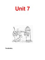 Unit 7 Vocabulary docx
