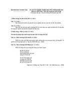 Gợi ý bài giải môn Văn TNTHPT 2010