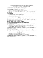 loi giai chi tiet de TN toan 2010