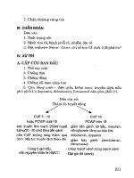 Tài liệu hồi sức cấp cứu - phần 1 hồi sức cấp cứu (tt) - các nguyên tắc và biện pháp xử trí sốc nói chung docx