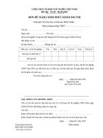 MẪU ĐƠN XIN CHẤM PHÚC KHẢO