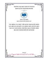 Tiểu luận tác động của thực tiễn quản trị nguồn nhân lực đến sự gắn kết của nhân viên với tổ chức tại các ngân hàng cổ phần TPHCM