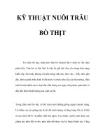 KỸ THUẬT NUÔI TRÂU BÒ THỊT docx