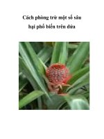 Cách phòng trừ một số sâu hại phổ biến trên dứa potx