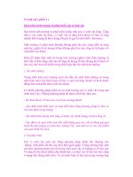 Vi sinh vật ( phần 1 ) pot