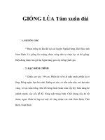 GIỐNG LÚA Tám xuân đài potx