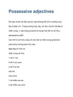 Possessive adjectives docx