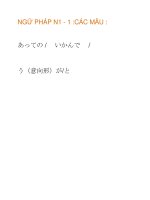 NGỮ PHÁP N1 - 1 :CÁC MẪU : あっての / いかんで doc