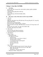 Hướng dẫn học SAP pps