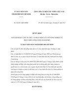 Quyết định 06/2011/QĐ-UBND potx