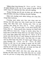 Nông Nghiệp Chăn Nuôi - Thú Quý Hiếm part 4 ppsx