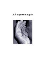 Rối loạn thính giác pot