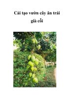 Cải tạo vườn cây ăn trái già cỗi doc
