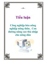 Tiểu luận: Công nghiệp hóa nông nghiệp nông thôn_ Con đường nâng cao thu nhập cho nông dân potx