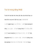 Trợ từ trong tiếng Nhật potx