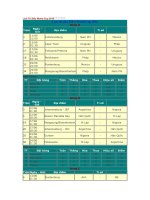 lich bong da world cup 2010