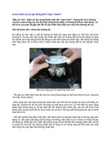 Vì sao chiếc xe của bạn không thể chay nhanh pdf