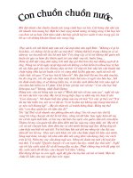 nhưng bài văn hay