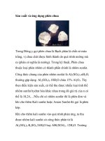 Sản xuất và ứng dụng phèn chua potx