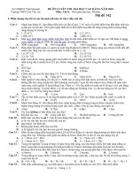 Đề,ĐA Ôn thi ĐH năm 2010