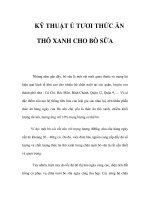 KỸ THUẬT Ủ TƯƠI THỨC ĂN THÔ XANH CHO BÒ SỮA potx