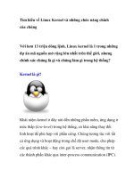 Tìm hiểu về Linux Kernel và những chức năng chính của chúng doc