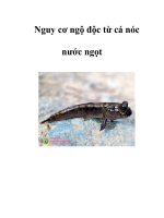 Nguy cơ ngộ độc từ cá nóc nước ngọt pdf