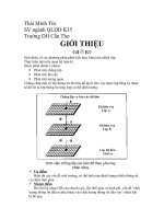 PHÂN TÍCH CHỒNG LỚP TRONG GIS pptx