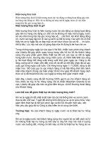 Hiện tượng thủy kích pot