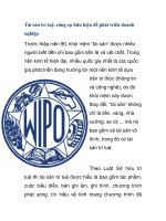 Tài sản trí tuệ, công cụ hữu hiệu để phát triển doanh nghiệp pptx