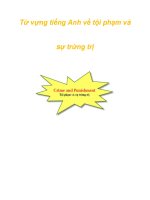 Từ vựng tiếng Anh về tội phạm và sự trừng trị docx