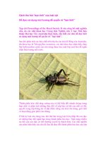 Cách thu hút “bạn tình” của loài vật pdf