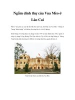 Ngắm dinh thự của Vua Mèo ở Lào Cai ppt