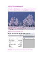 Tạo Tuyết Rơi trong Một Bức Ảnh doc