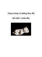 Tăng trưởng và những thay đổi thể chất: 2 tuần đầu ppsx