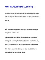 Questions (Câu hỏi) pot