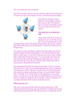 Tối ưu hóa hiệu suất máy chủ Apache ppsx