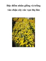 Đặc điểm nhân giống và trồng vào chậu cây cúc vạn thọ lùn pdf