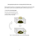 Phương pháp làm phân hữu cơ tại làng chài trên vịnh hạ long