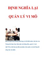 ĐỊNH NGHĨA LẠI QUẢN LÝ VI MÔ pps