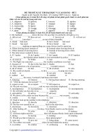 ĐỀ THI THỬ ĐH T. ANH3